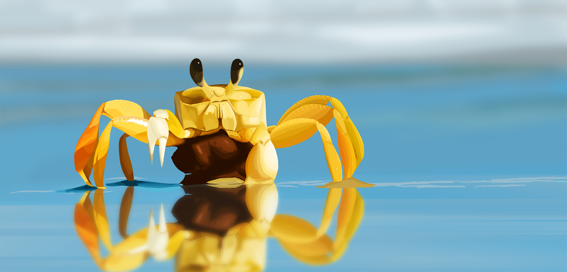 海边螃蟹